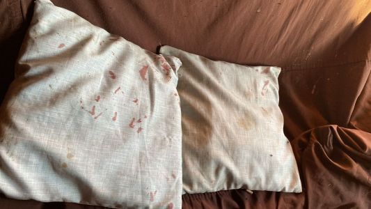 Travesseiro com sangue dentro da casa do casal. Mulher é presa por feminicídio de companheira em Três Lagoas