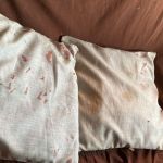 Mulher é presa após matar a companheira para 'retirar espíritos', em Mato Grosso do Sul