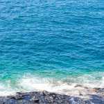 O mar que não toca a terra: o mistério do Mar dos Sargaços