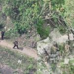 PM prende policiais suspeitos de furtar fuzil em megaoperação que matou 122 pessoas no Rio
