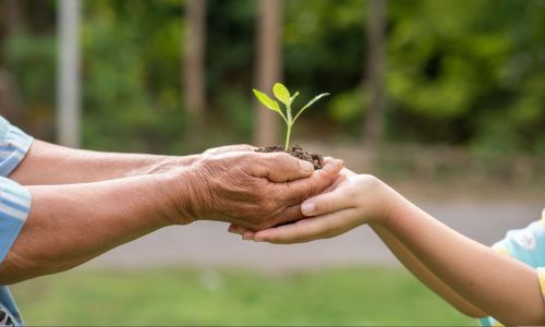 meio ambiente - Imagem Ilustrativa Freepik