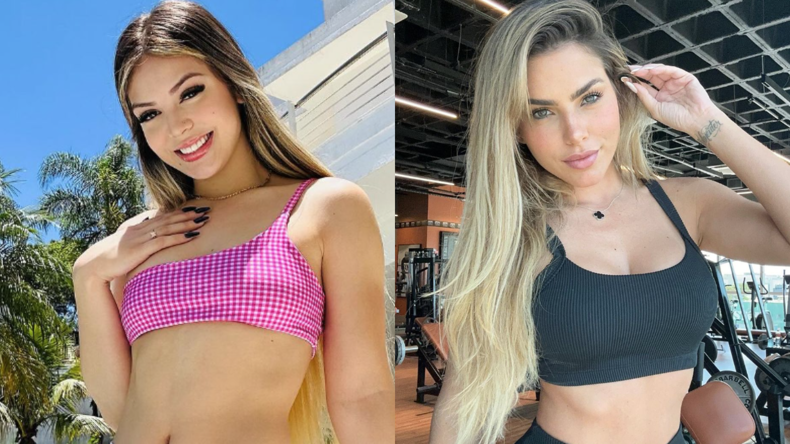 Entenda a briga de Melody com a ex-Fazenda Erika Scheinder