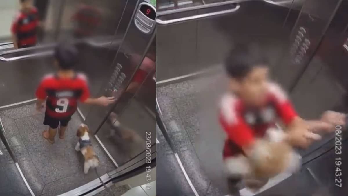 Vídeo: menino salva cachorrinha que ficou com coleira presa na porta do elevador