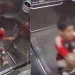 Vídeo: menino salva cachorrinha que ficou com coleira presa na porta do elevador