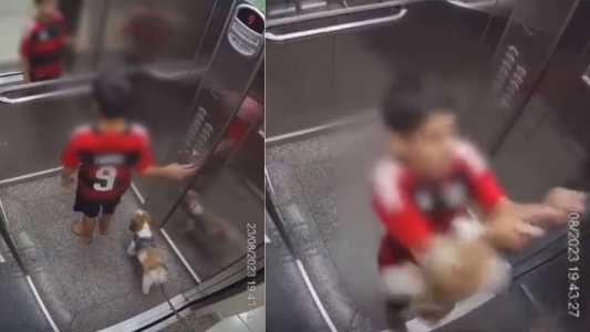 Menino conseguiu salvar cachorrinho
