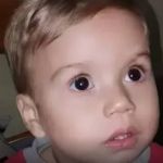 Caso Nicolas: o que se sabe sobre menino de Florianópolis encontrado com casal em São Paulo 