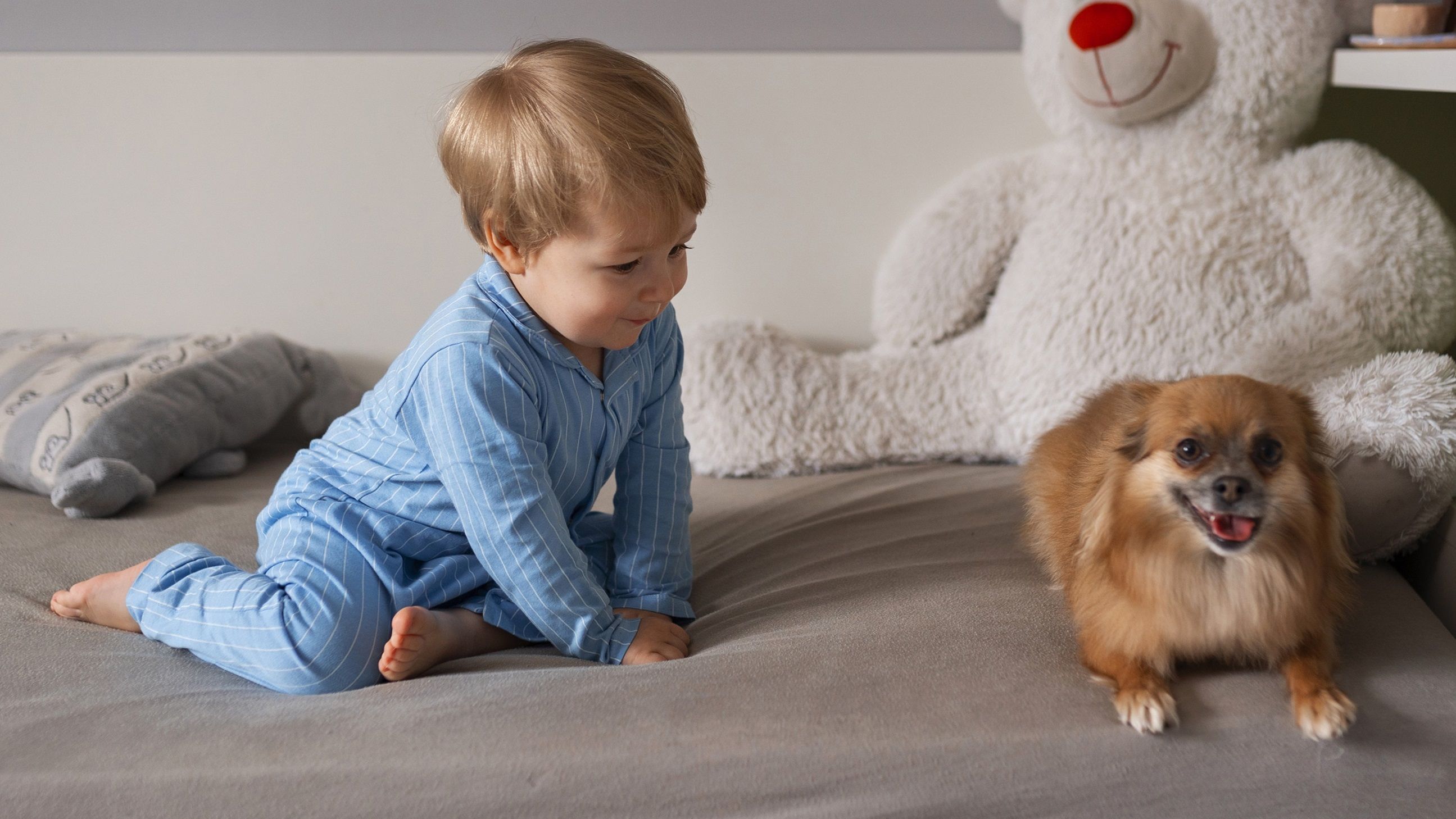 Promova uma convivência segura entre o bebê e o cachorro da família