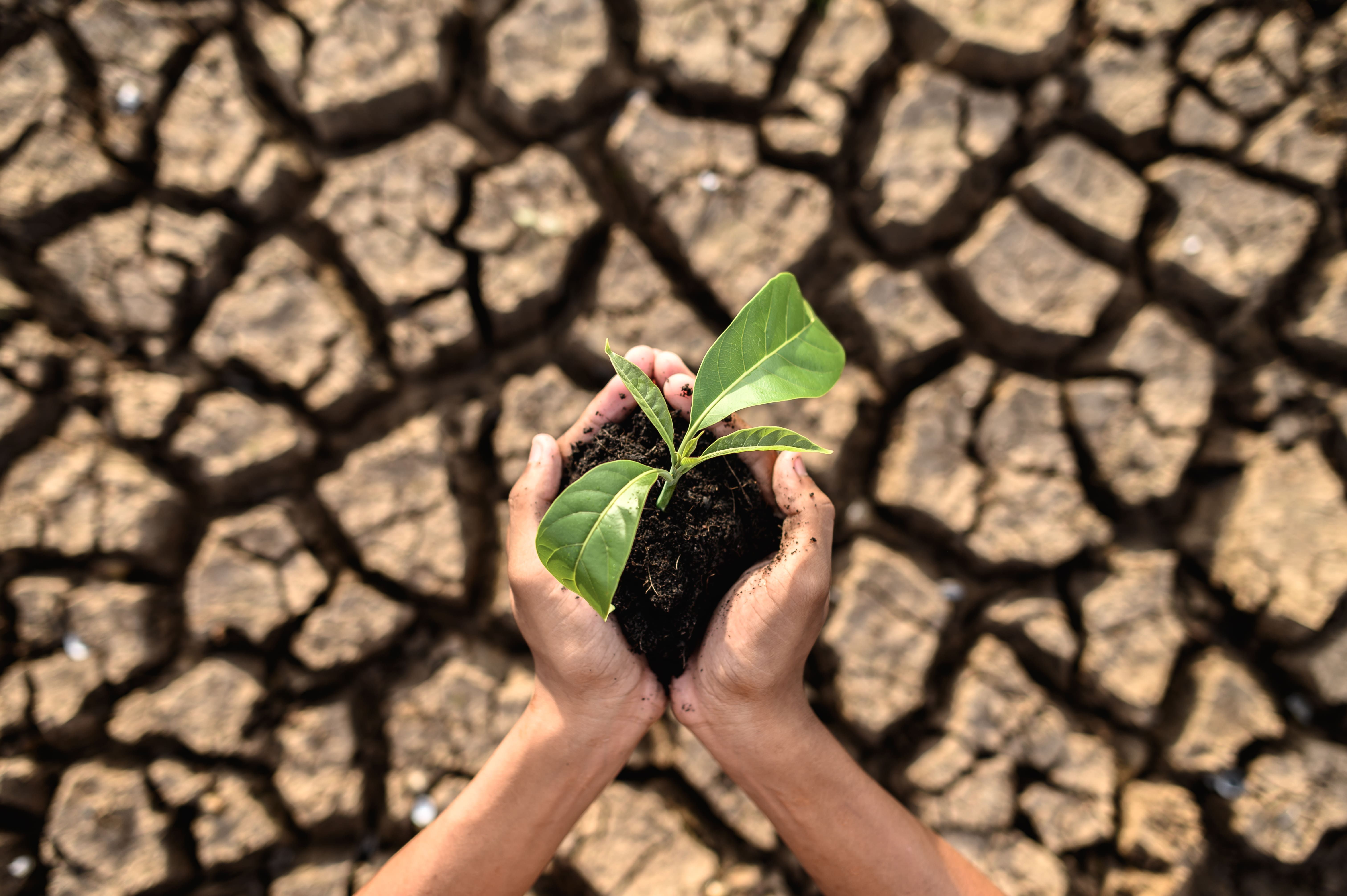 Prefeitura de Mariana oferece análise de solo gratuita para produtores rurais com foco em eficiência agrícola e sustentabilidade