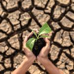 Prefeitura de Mariana oferece análise de solo gratuita para produtores rurais com foco em eficiência agrícola e sustentabilidade