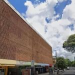 Funcionários encontram gatos mortos no Mercado Novo de Belo Horizonte: 'muito triste'