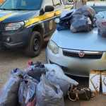 Quadrilha suspeita de furtar lojas de roupas é presa na BR-381 em MG