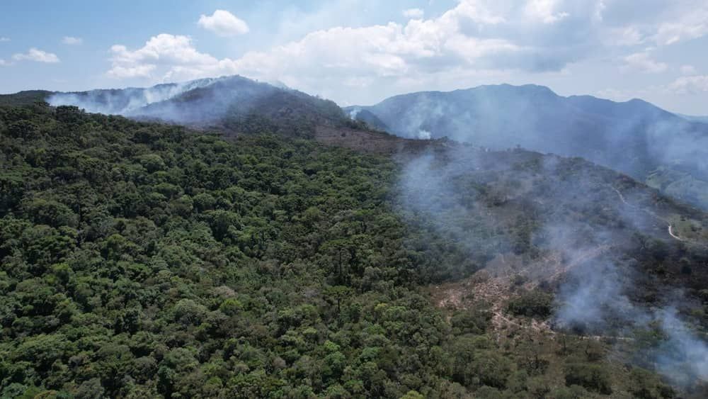 Onda de calor: incêndios florestais em Minas Gerais aumentam 133% em novembro 