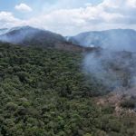 Estiagem acentuada pode elevar risco de incêndios em áreas urbanas e rurais