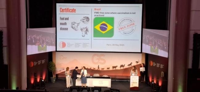 Certificado do país livre de febre aftosa