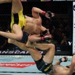 Demolidor e Borralho dão show no UFC 301; lutador mineiro é finalizado