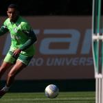 Palmeiras renova contratos de mais duas joias; entenda por que clube aposta na dupla