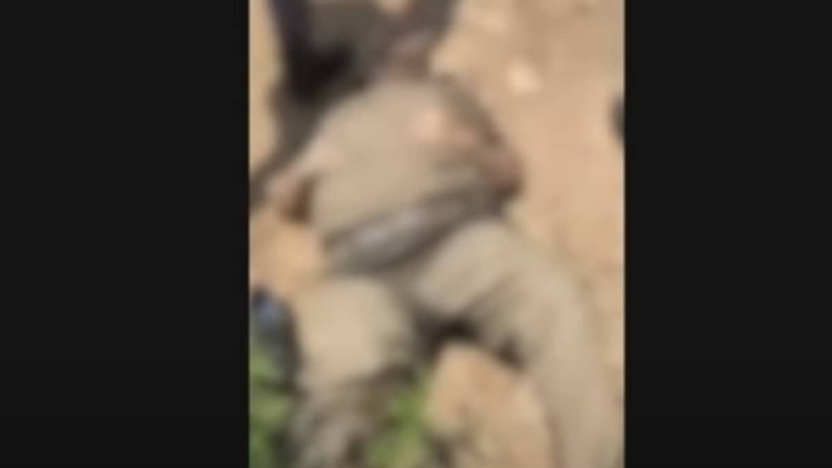 Policial tem arma roubada e é jogado no rio Tietê, em São Paulo