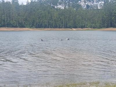 Militares durante o resgate de vítima que se afogava em represa na cidade de Poços de Caldas