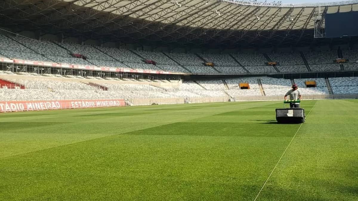 Governo de MG promete gramado do Mineirão entre os 'melhores do mundo'