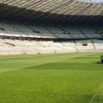 Governo de MG promete gramado do Mineirão entre os 'melhores do mundo'