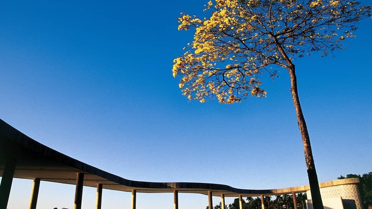 Previsão do tempo: Minas tem domingo de tempo estável, baixa umidade do ar e névoa seca