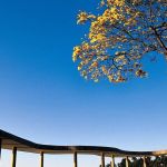 Previsão do tempo: Minas tem domingo de tempo estável, baixa umidade do ar e névoa seca