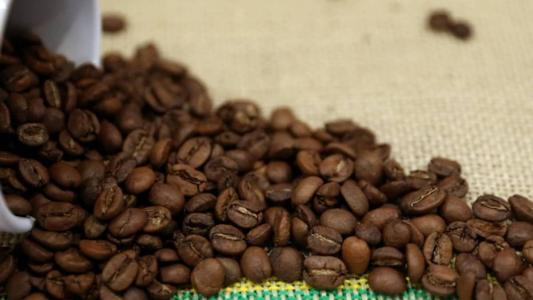 Minas é referência na produção nacional de café