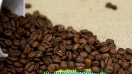 Minas é referência na produção nacional de café