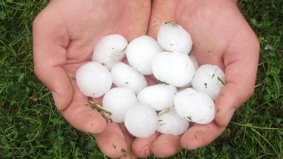 Quase 300 cidades de MG estão sob alerta de tempestade com granizo neste domingo (29)