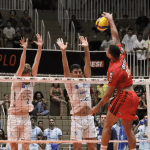 Minas luta muito, mas perde para o Sesi-Bauru na Superliga Masculina de Vôlei