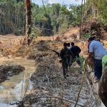 'Vamos acabar com o garimpo ilegal e tirar os garimpeiros de lá', diz Lula sobre invasão em terra Yanomami