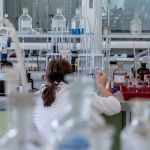 Gripe aviária: sobe para 19 o número de casos da doença em aves no Brasil