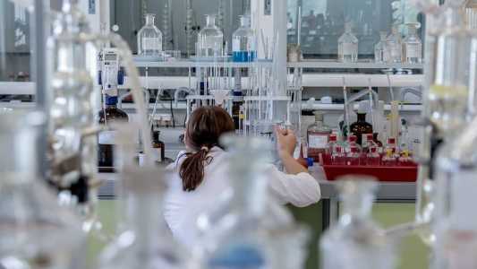 Ministério da Saúde destaca que, até o momento, não foram confirmados casos de gripe aviária em humanos no país