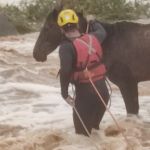 Bombeiros resgatam égua em rio após aumento do nível da água em Salinas