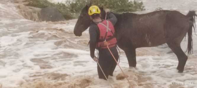 Cavalio ilhado em situação de risco, em Salinas