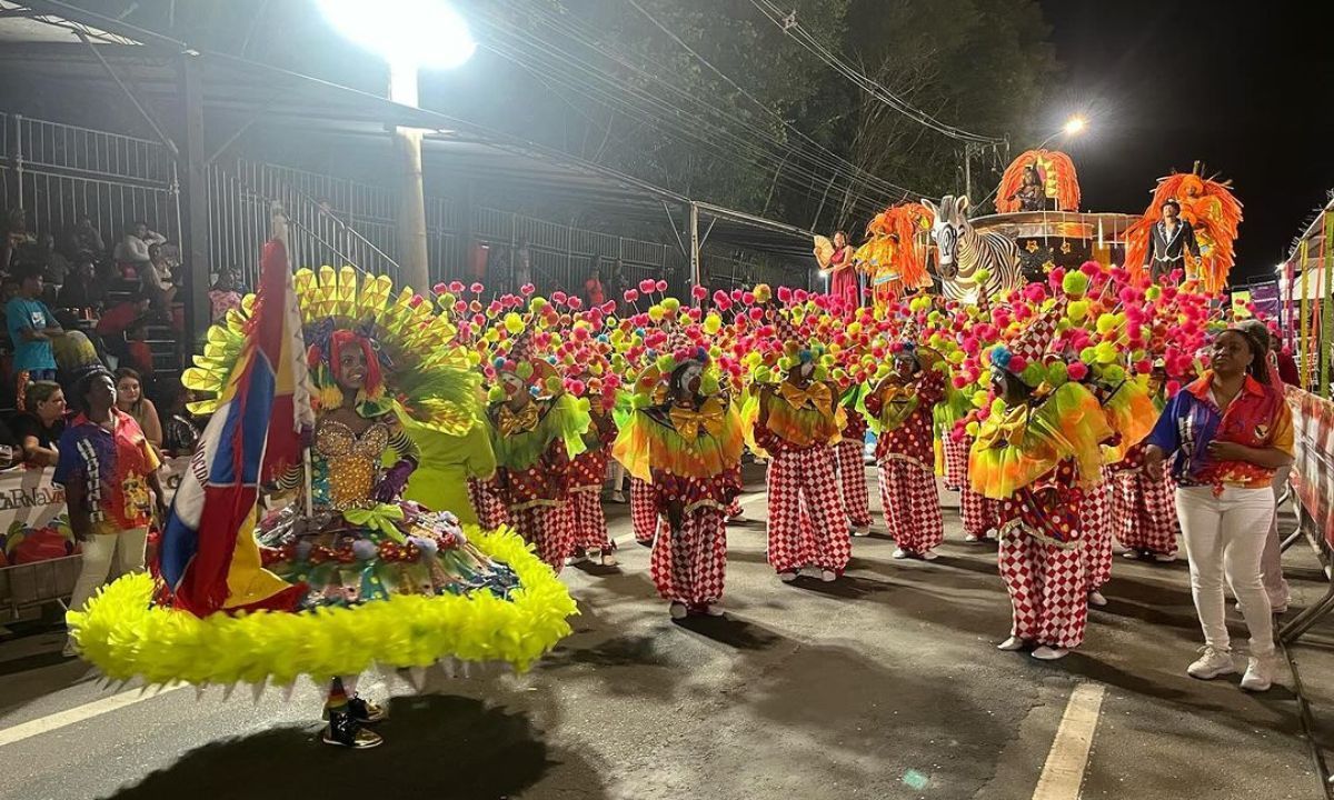 Audiência pública debate situação do Carnaval 2026 em Juiz de Fora