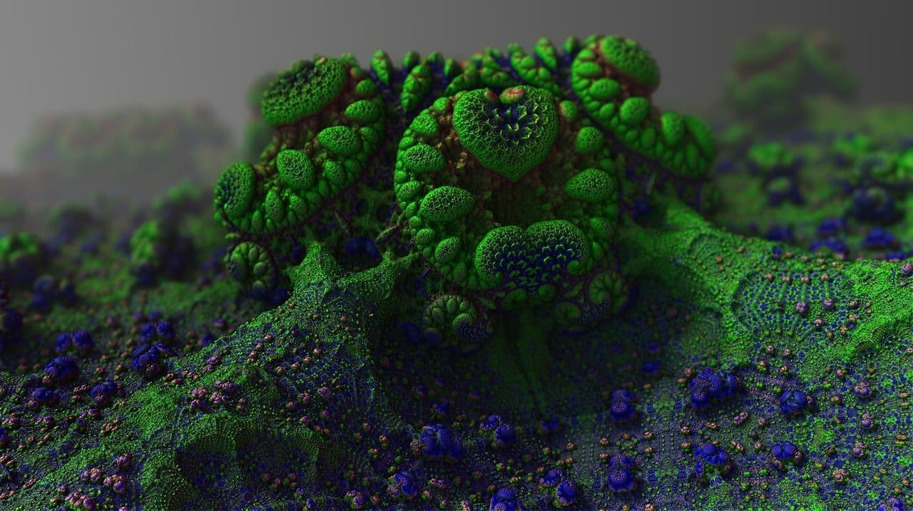 Pesquisa mostra que fungos têm evoluído para infectar seres humanos