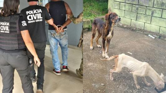 Momento da prisão do homem e os cachorros que viviam com ele