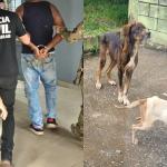Homem é flagrado por maus-tratos a animais enquanto era preso por crimes contra a mulher