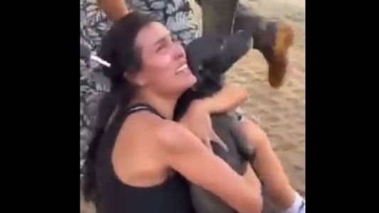 Momento em que cão é entregue à tutora