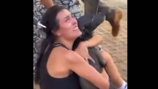 Momento em que cão é entregue à tutora
