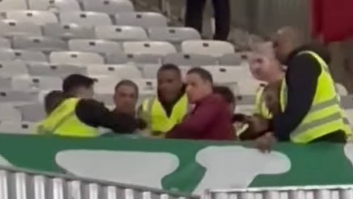 Vídeos mostram torcedor do Palmeiras sendo espancado por seguranças da Minas Arena