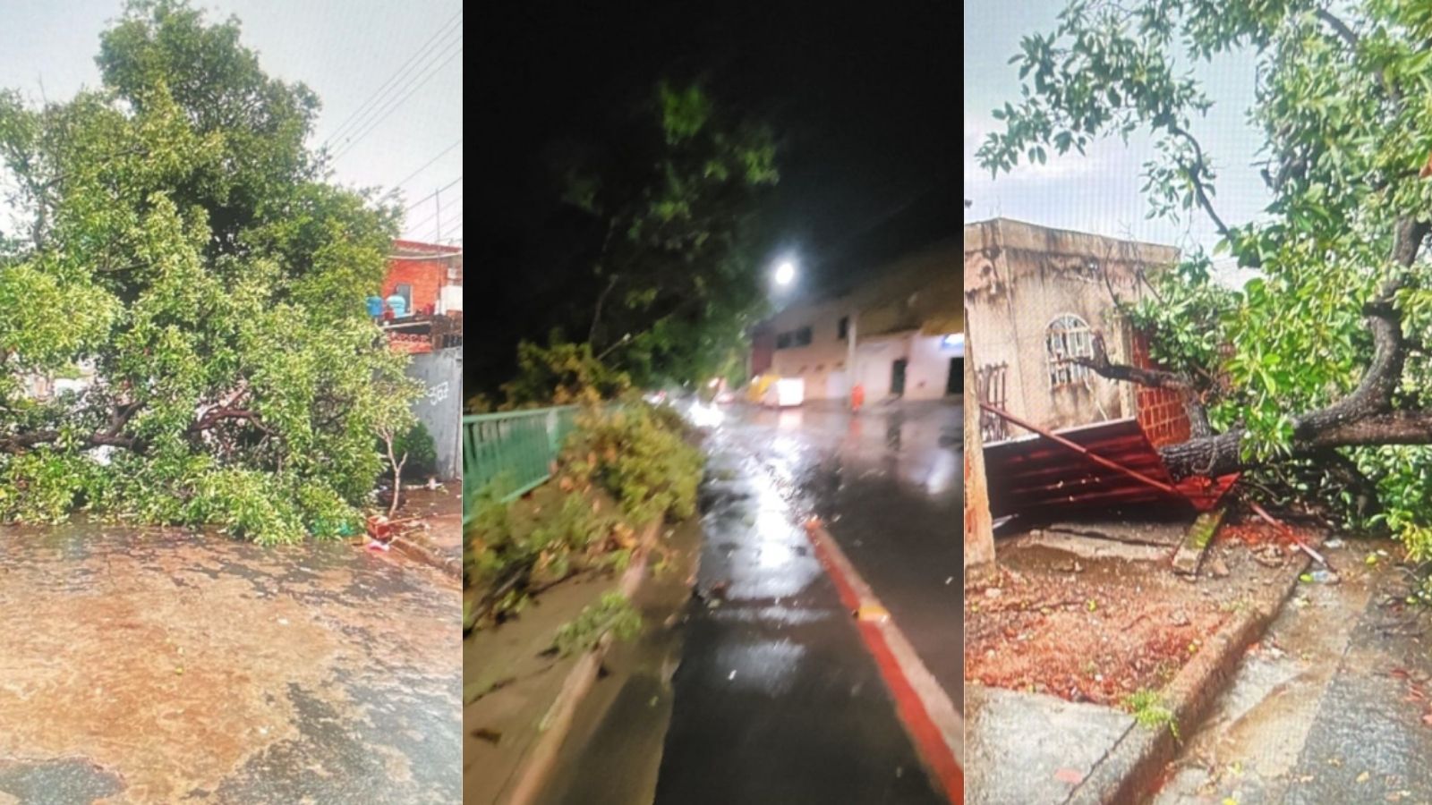 Chuvas derrubam árvores e deixam bairros sem luz em Montes Claros