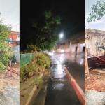 Chuvas derrubam árvores e deixam bairros sem luz em Montes Claros