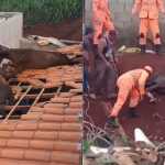 Dupla de cavalos é resgatada em telhado de casa em Nepomuceno (MG)