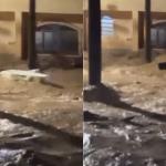 Enxurrada em Ubá leva caixões de funerária; veja o vídeo