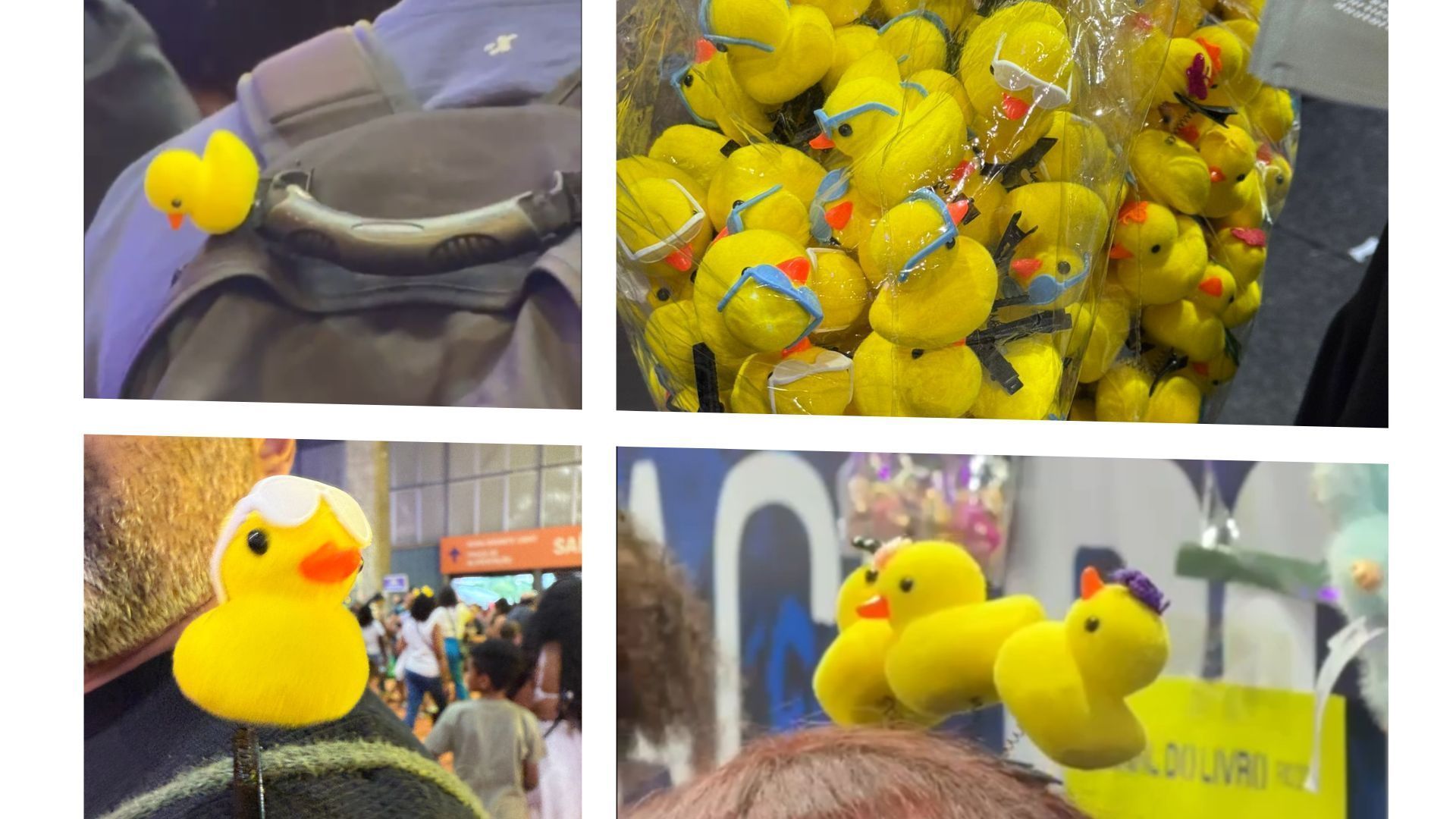 Patos literários: a explicação para a 'febre amarela' que tomou a Bienal do Livro do Rio