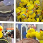 Patos literários: a explicação para a 'febre amarela' que tomou a Bienal do Livro do Rio