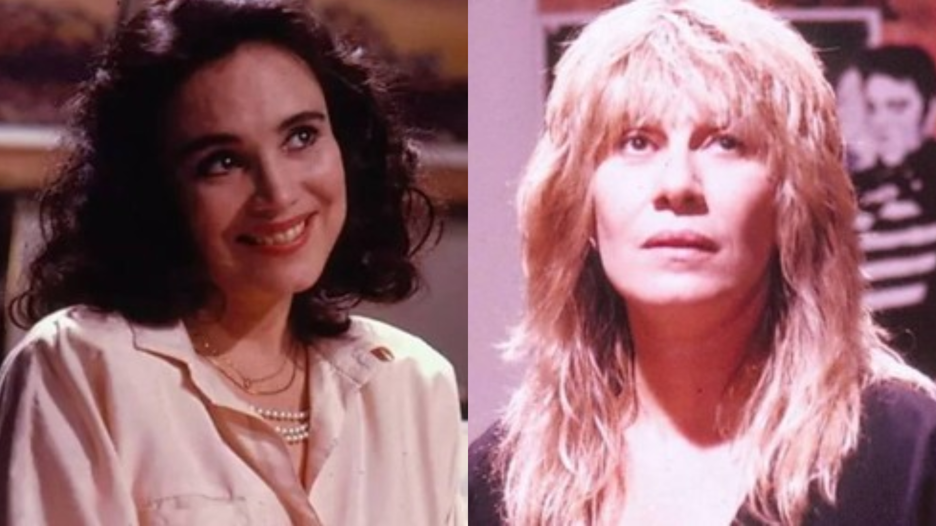 Vale Tudo: papéis de Heleninha Roitman e Raquel Accioli estariam definidos