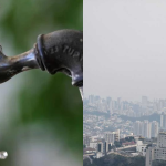 Em dia de temperaturas altas e baixa umidade, bairros ficam sem água em BH